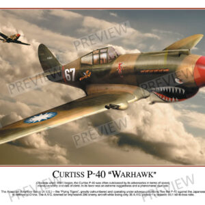 Curtiss P-40 "Warhawk"